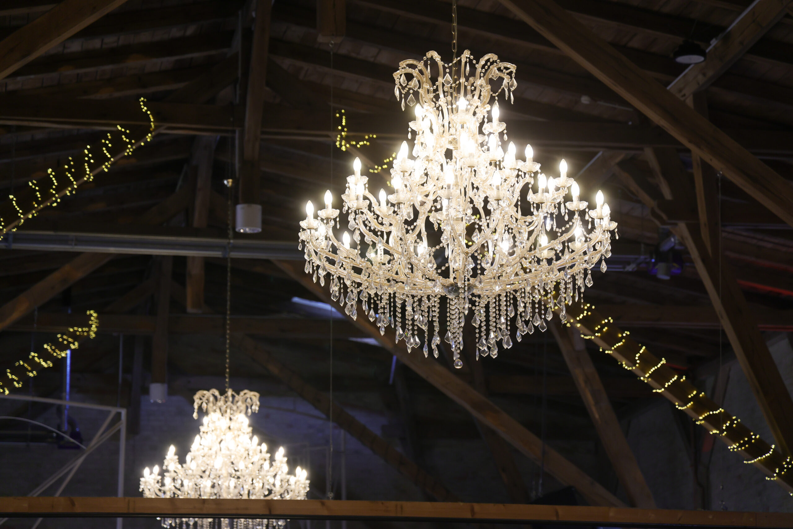 T 1184-645-kontrastfoto