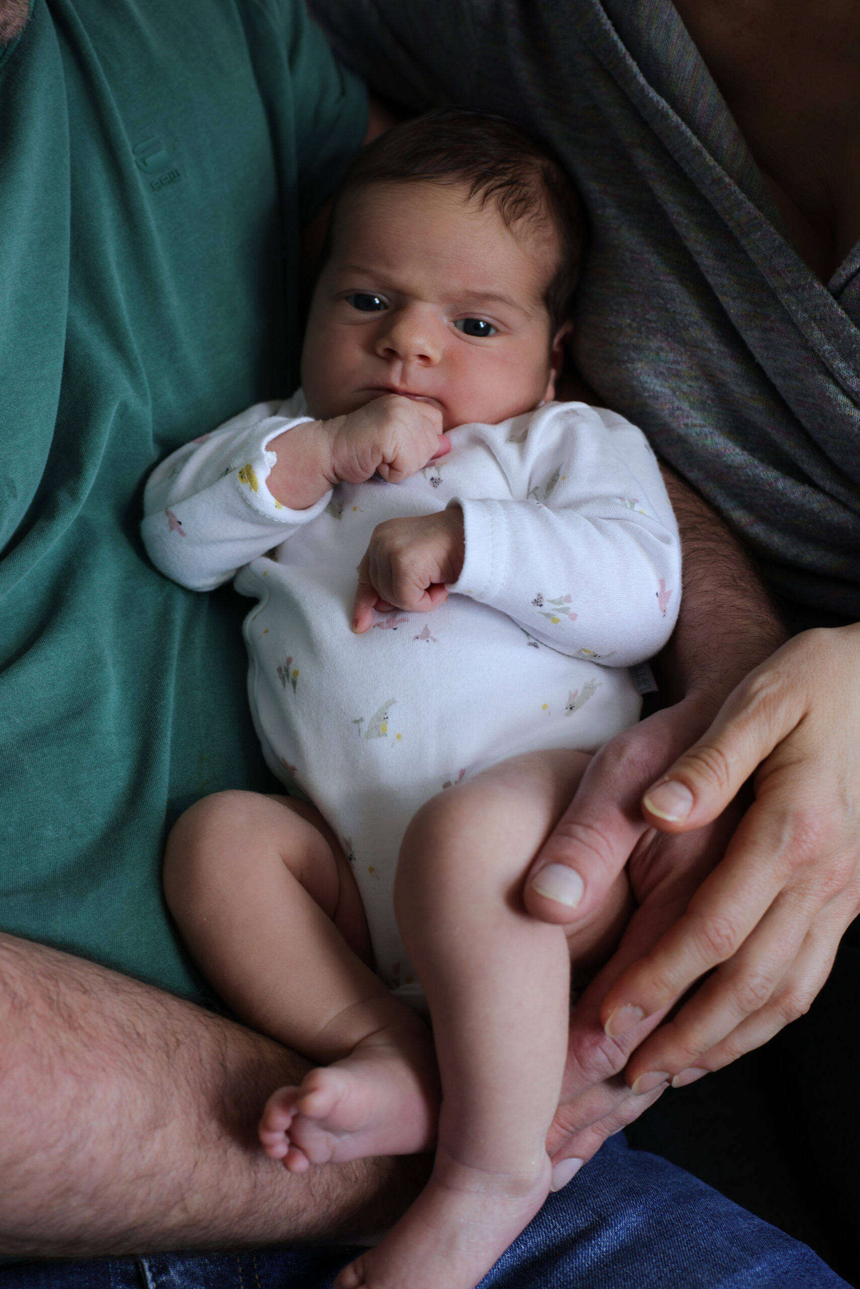 150425Nova037-kontrastfoto