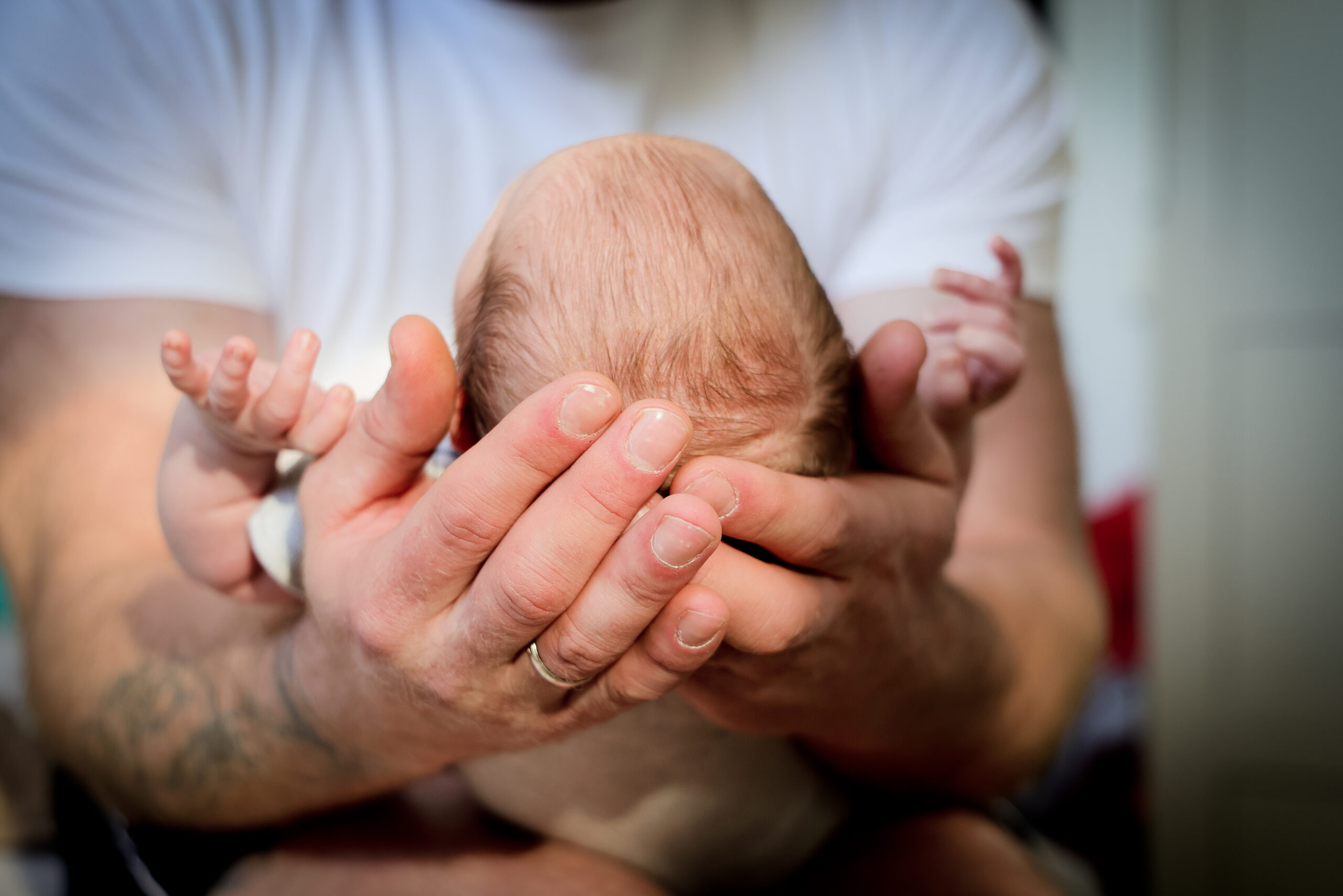 200225Arno-005-kontrastfoto