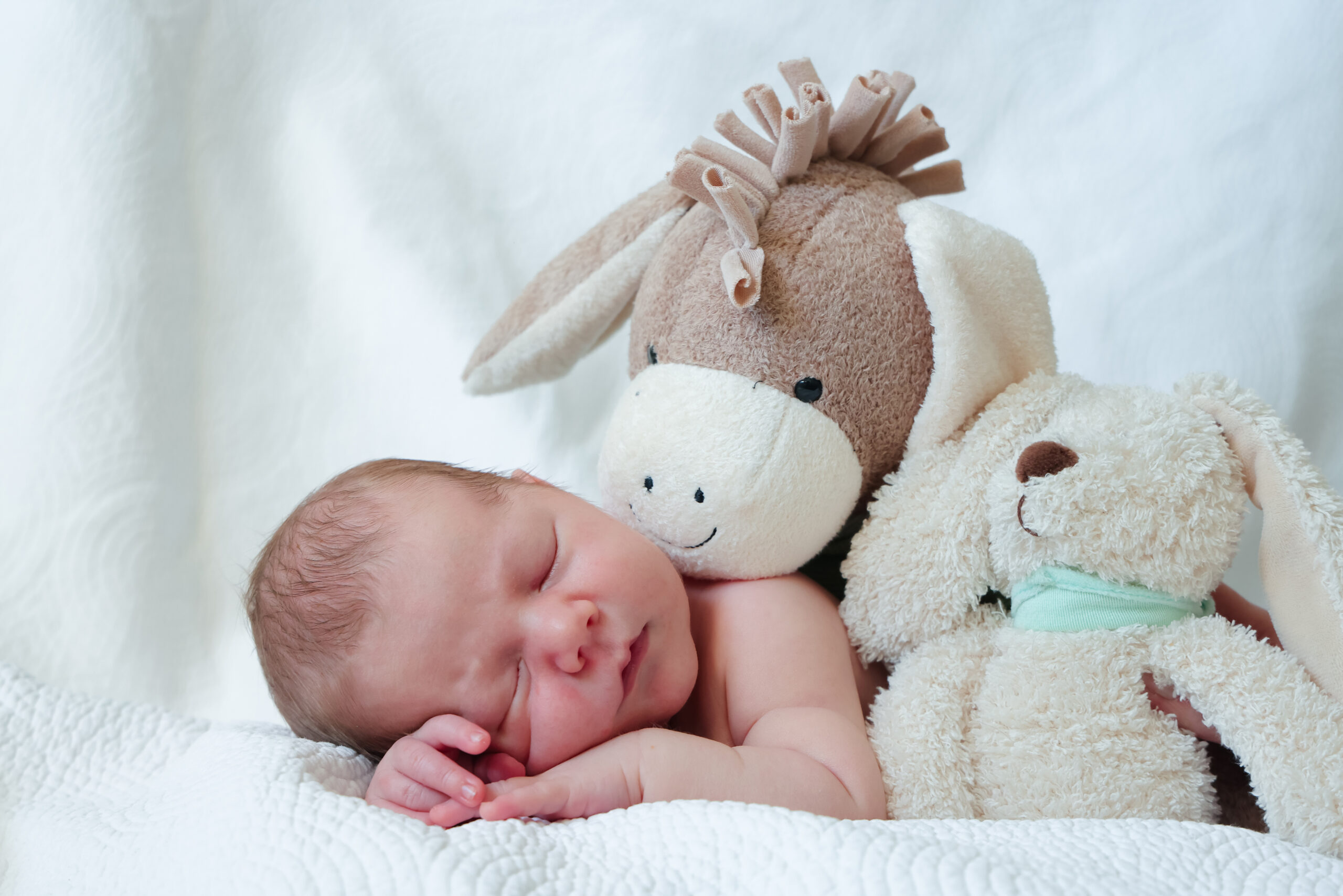 200225Arno-049-kontrastfoto