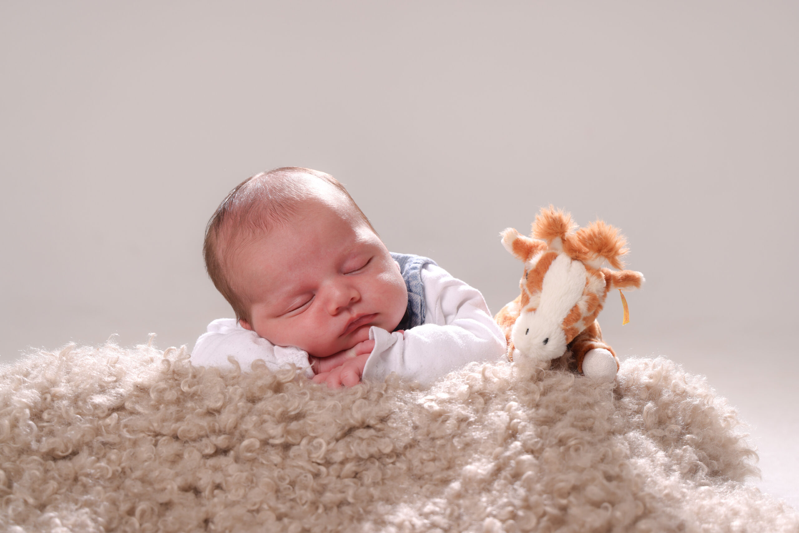 FS251025Zills-069-kontrastfoto