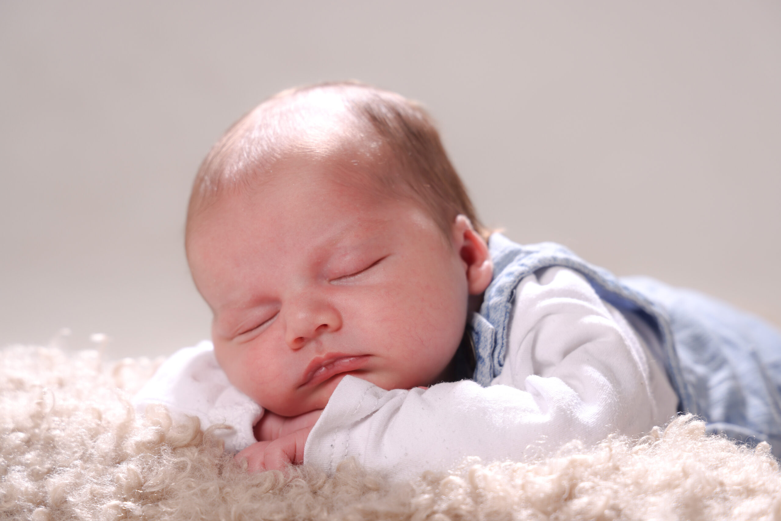 FS251025Zills-071-kontrastfoto