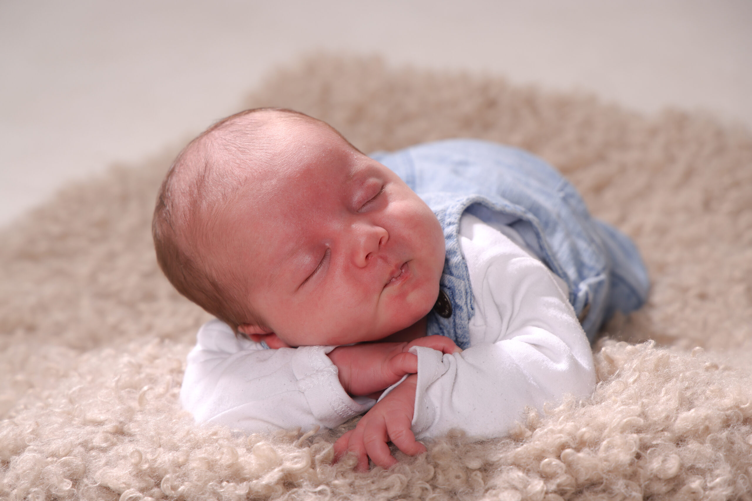 FS251025Zills-087-kontrastfoto