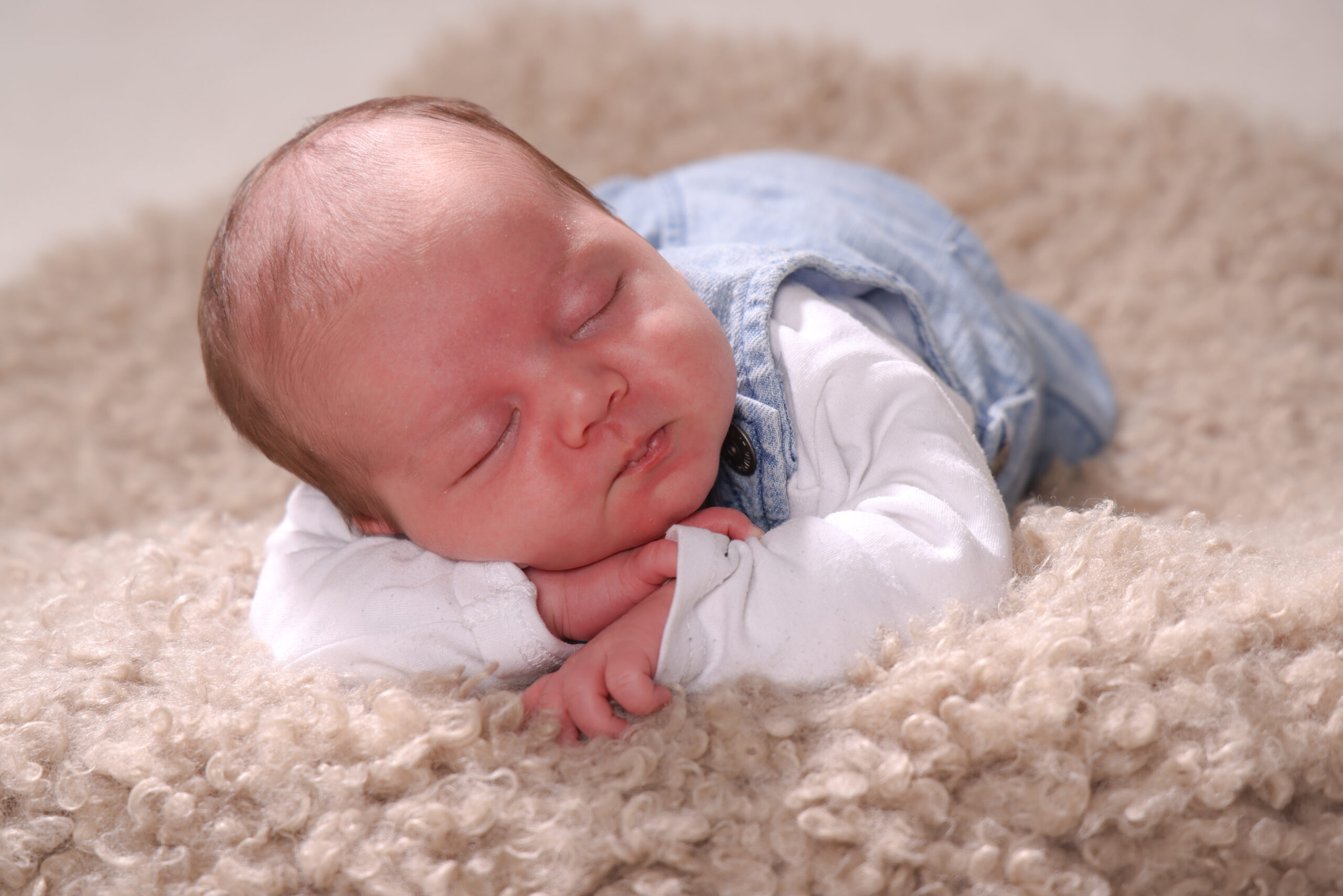 FS251025Zills-088-kontrastfoto