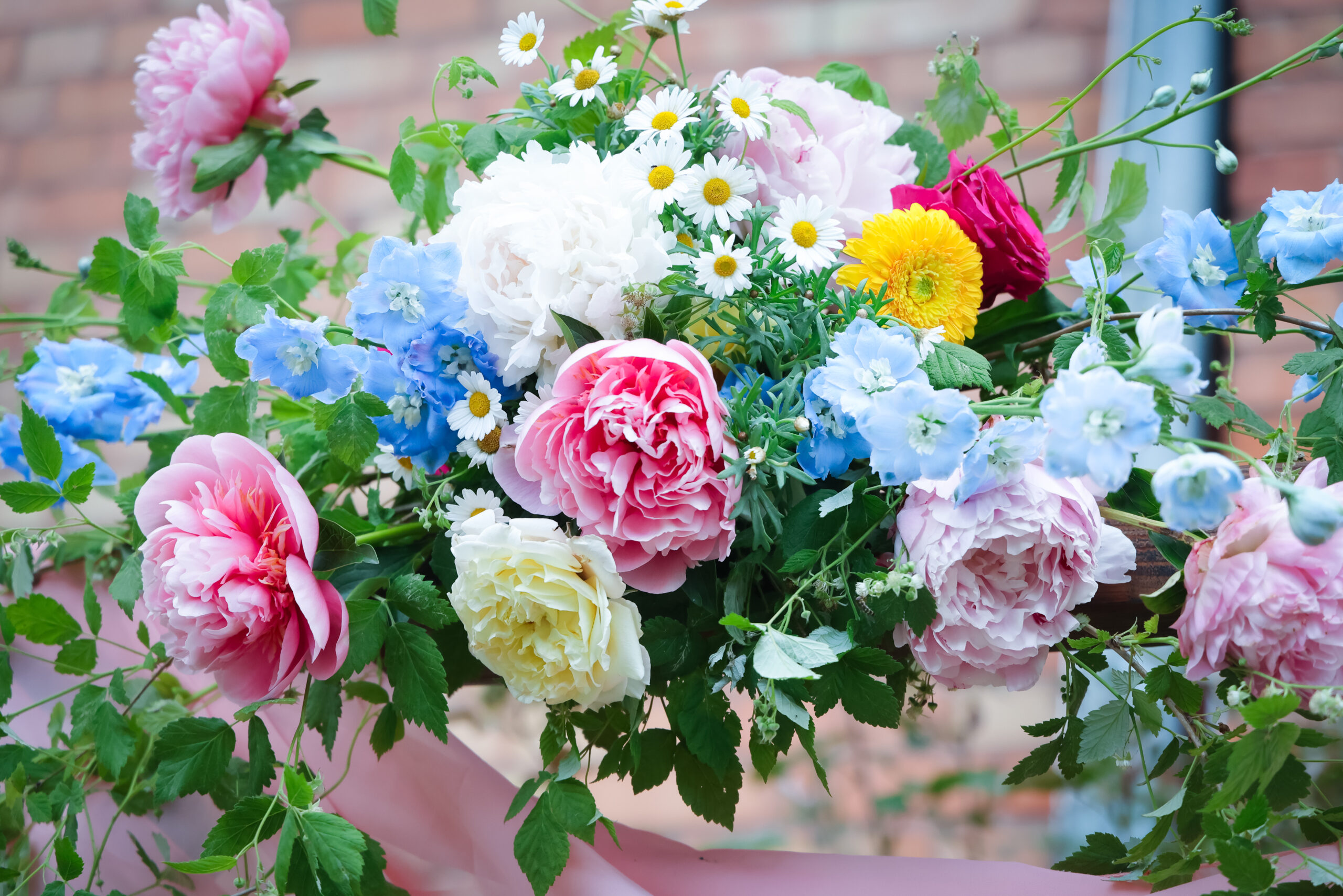 HZ300525KM-010-kontrastfoto