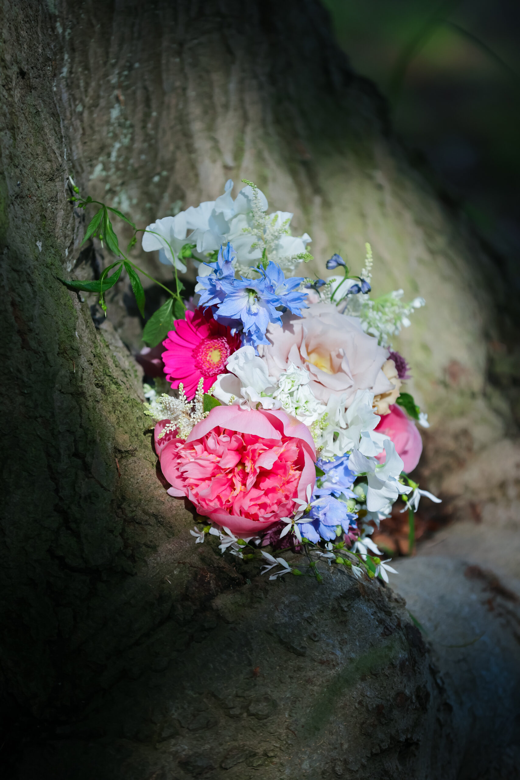 HZ300525KM-811-kontrastfoto