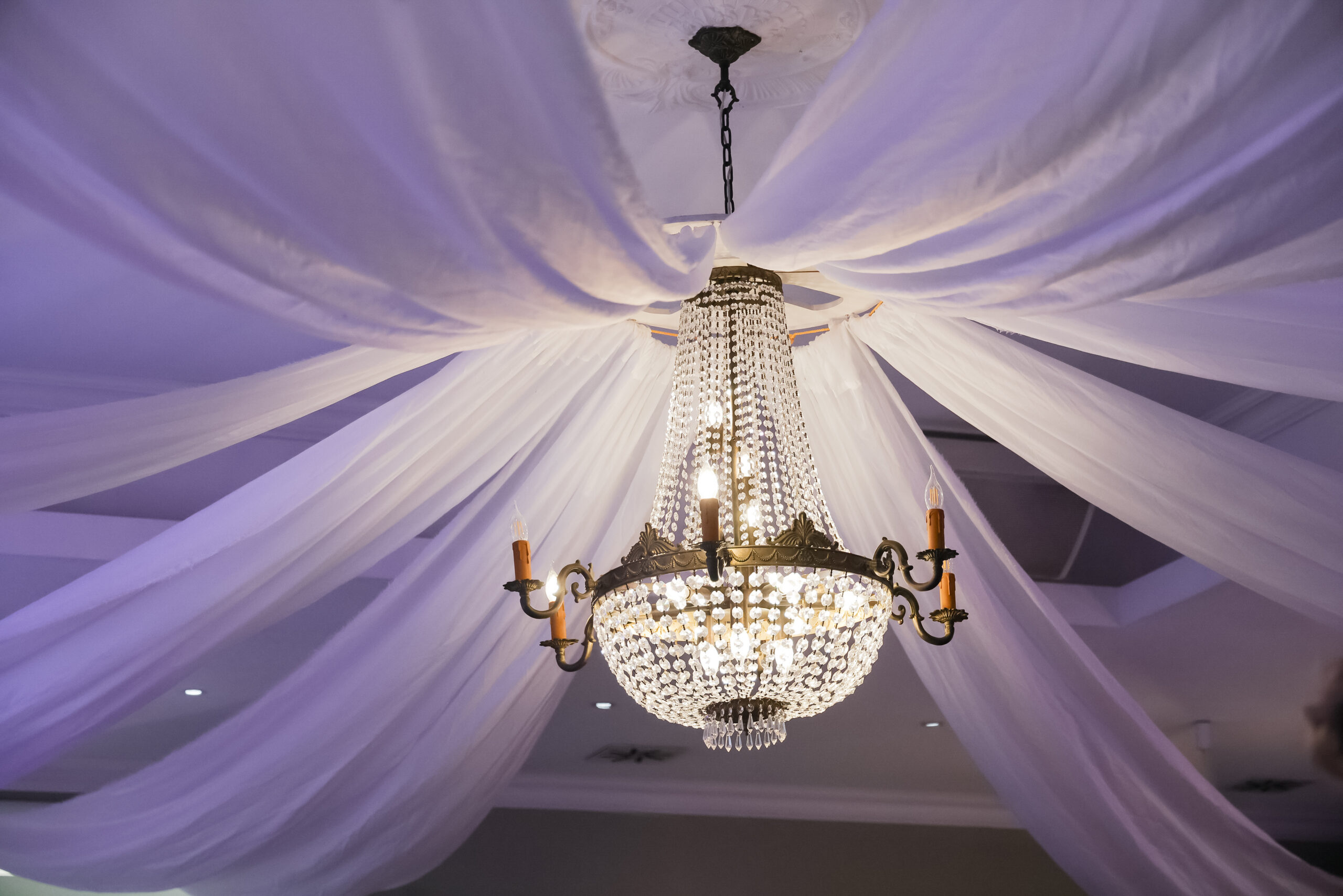 T 1167-1023-kontrastfoto